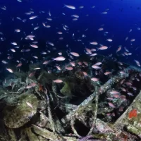wreck picture sardinia diving underwater