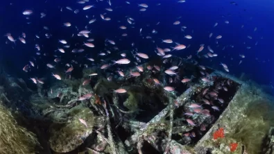 wreck picture sardinia diving underwater