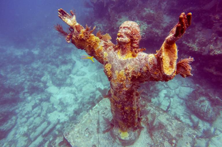 Florida Keys Diving: Top Dive Sites for Scuba Divers