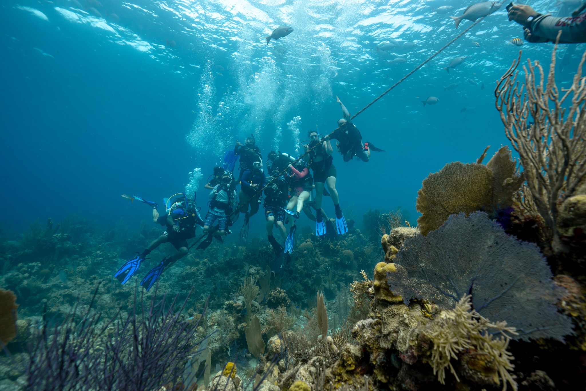 A group of scuba divers and PADI Club members pose for the camera underwater in Belize