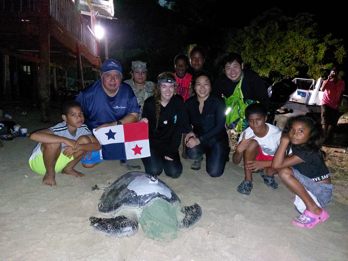 A group of conservationists and local children gather around a sea turtle with a new satellite tag on it. It's night, and the turtle has a towel over its eyes to keep it calm. One man holds up the Panamanian flag.