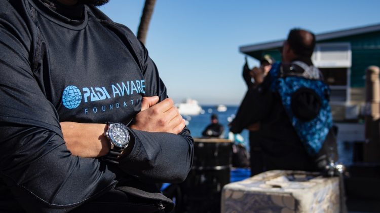 a man stands on a beach with his arms crossed. he is wearing a padi aware rashguard and a seiko watch
