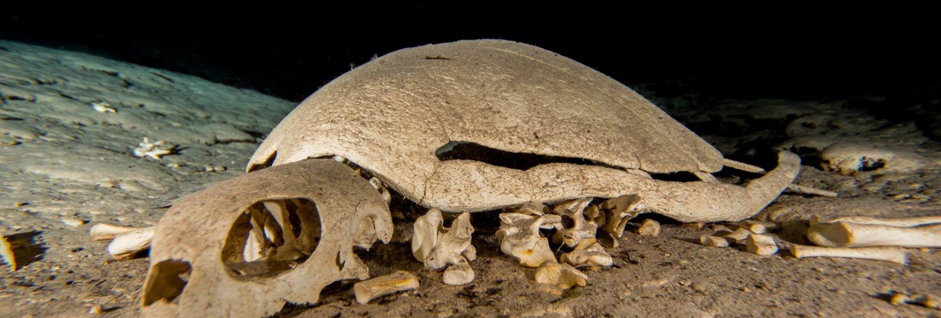 Exploring the Turtle Tomb of Sipadan, Borneo
