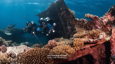 padi tec40 course participants dive a coral reef