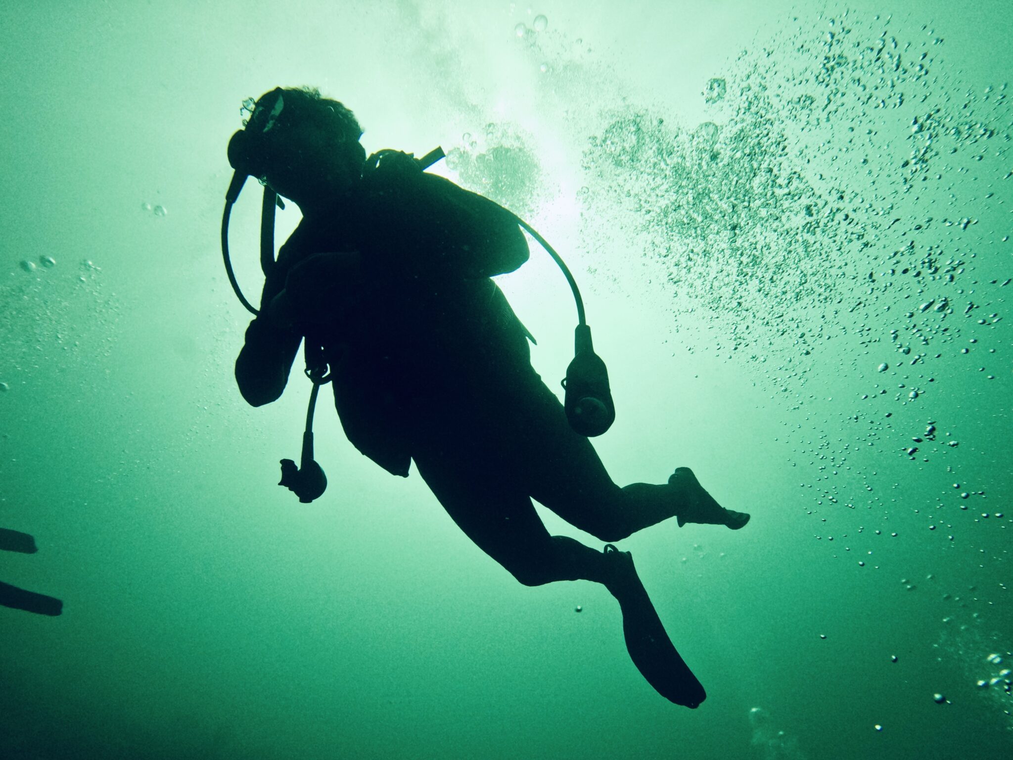 a diver explores the underwater world in the UK