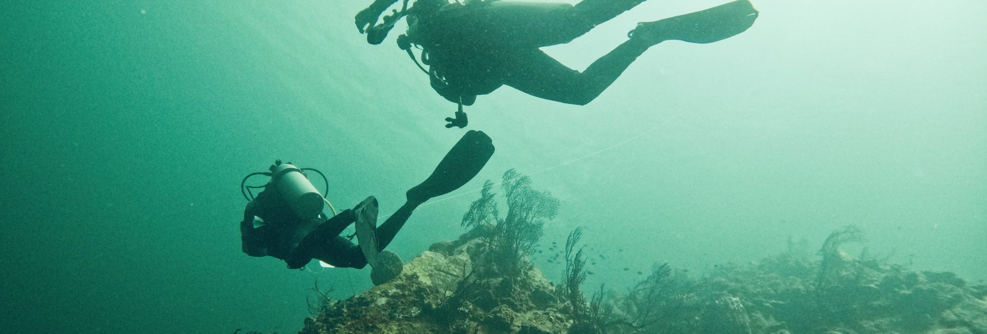 Diving Back to Happiness: One Instructor’s Journey of Rediscovery, Overcoming Fears, and Bonding with Family
