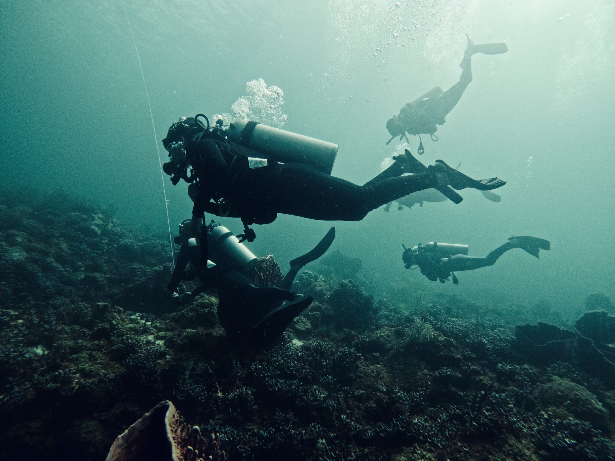 A group of divers explore the underwater world in the UK