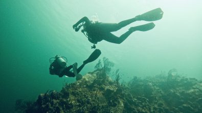 two divers explore the underwater world in the UK