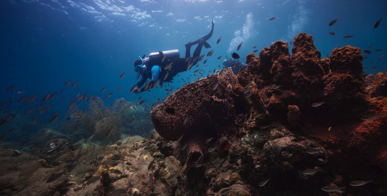 The 5 Best Dive Resorts in the Caribbean