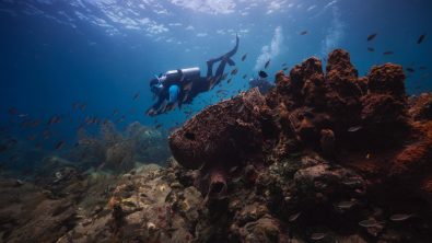 two divers explore a coral reef in St Lucia