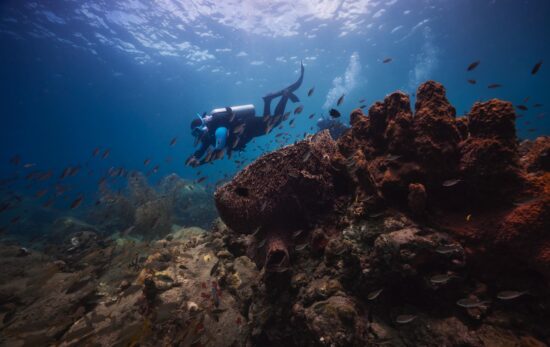 two divers explore a coral reef in St Lucia