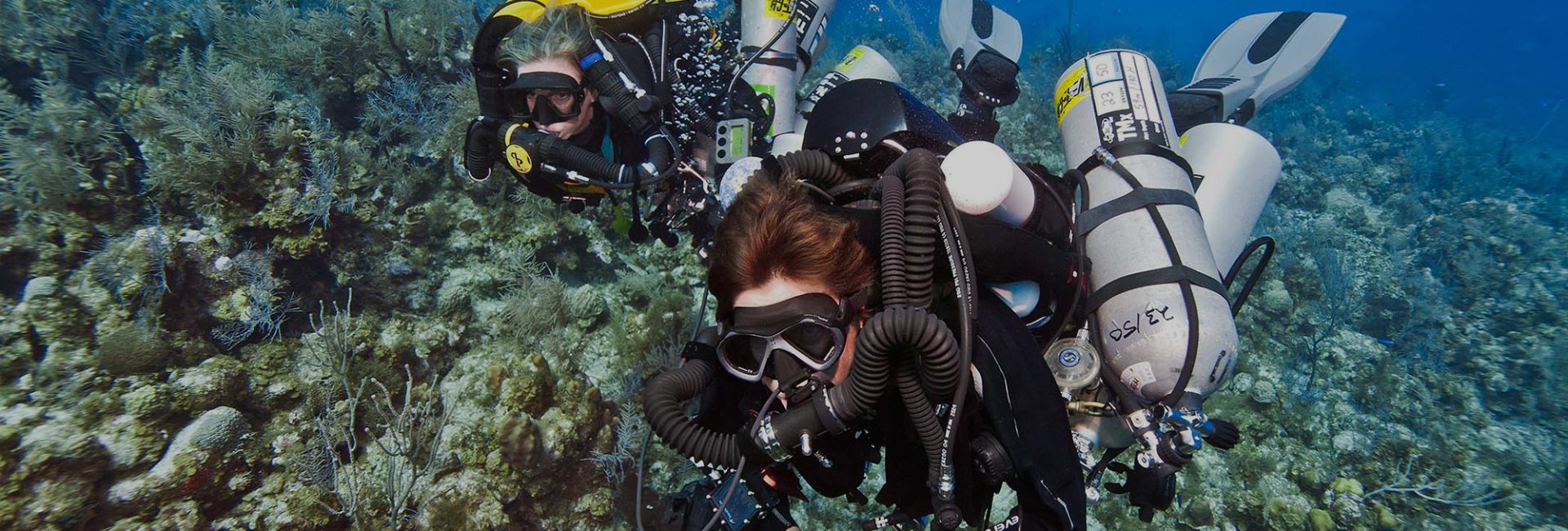 Is Tec Diving for You?