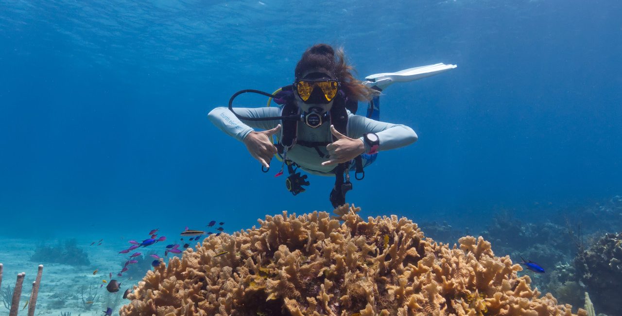 From Bus Ride to Divemaster: An Unexpected Scuba Love Story