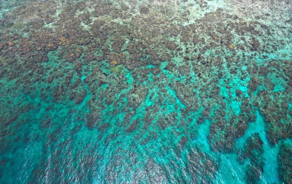an aerial shot of coral reefs in roatan, honduras