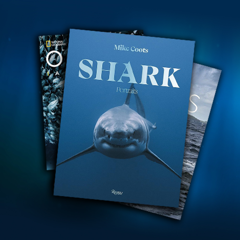 an image showing Mike Coots' Shark: Portraits book with a great white shark on the cover