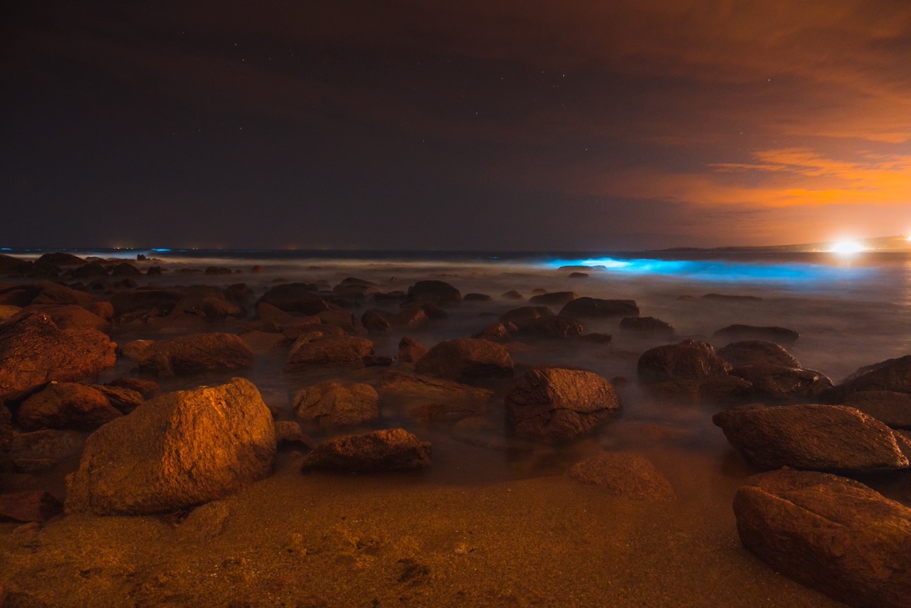 Want to See Bioluminescence? Here are the 7 Best Destinations