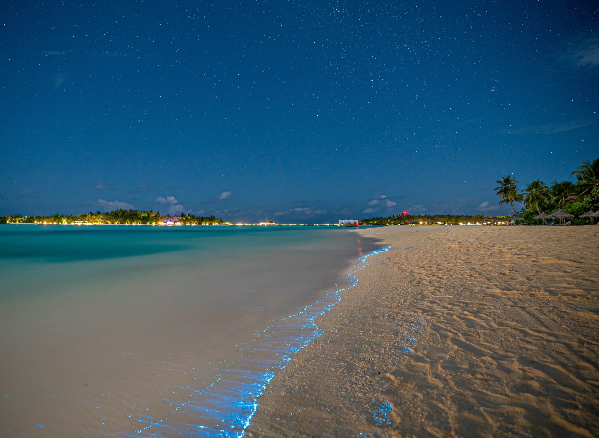 a bay in the maldives with bioluminescent waves