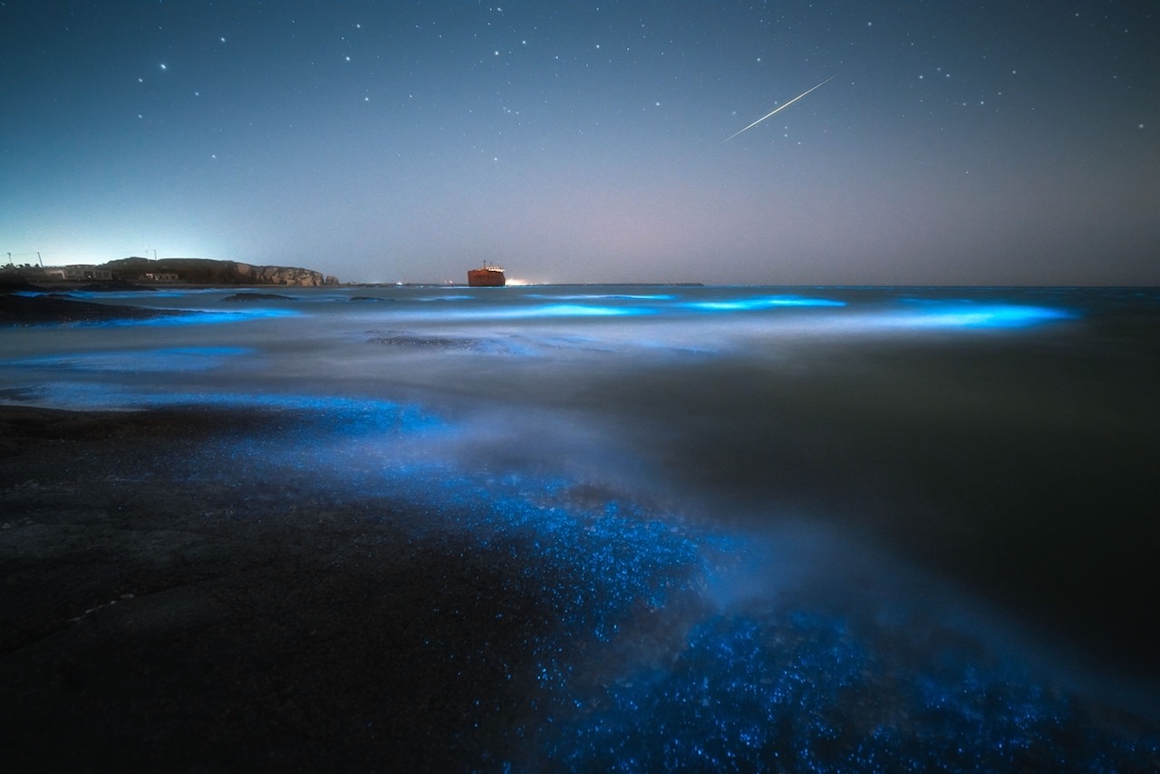 The scenic bioluminescent beach at night