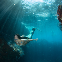 Mermaid swimming in the ocean.