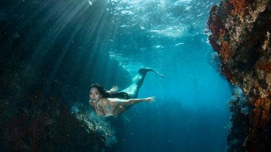 Mermaid swimming in the ocean.