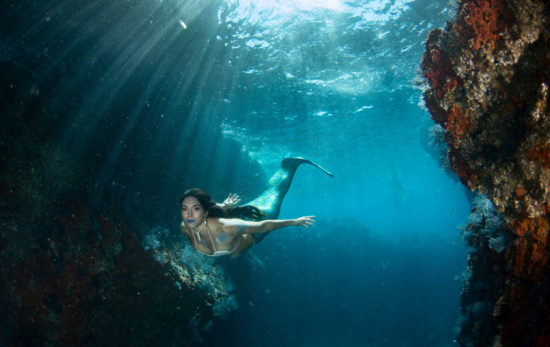 Mermaid swimming in the ocean.