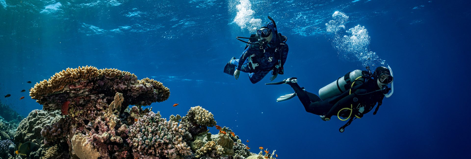 How to Give a Dive Trip as a Gift