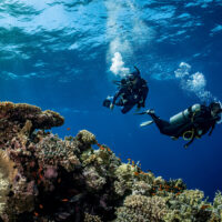 two divers explore a coral reef in Egypt's Red Sea