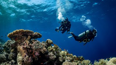two divers explore a coral reef in Egypt's Red Sea