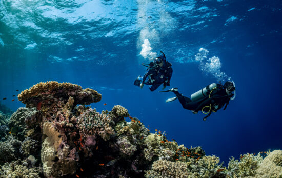 two divers explore a coral reef in Egypt's Red Sea