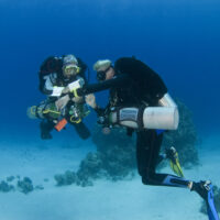 two tec divers communicate underwater