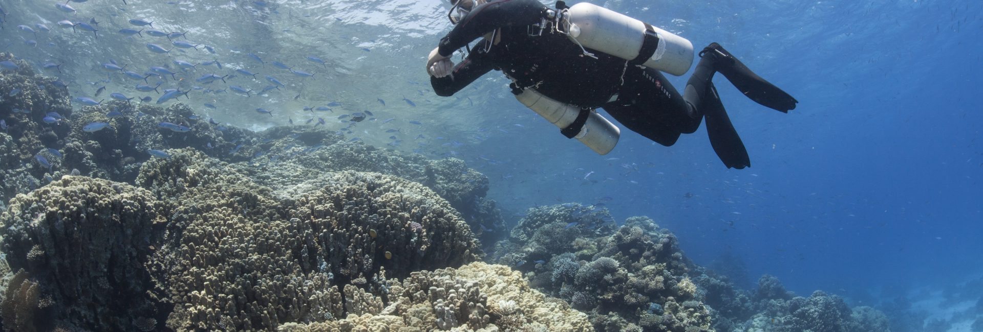How Much Energy Does Your Body Burn When Tec Diving?