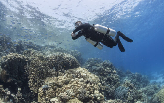 a tec diver dives above a coral reef