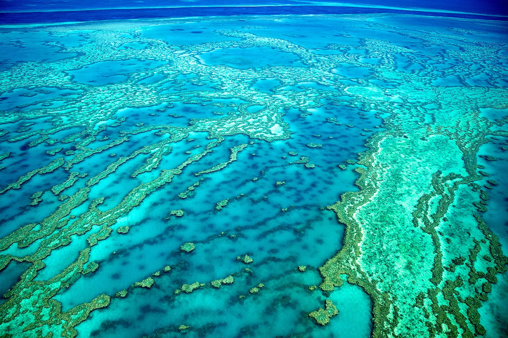 Great Barrier Reef from bird view