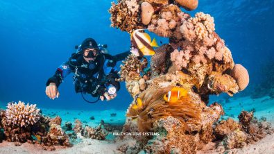 a tec basics diver explores a coral reef