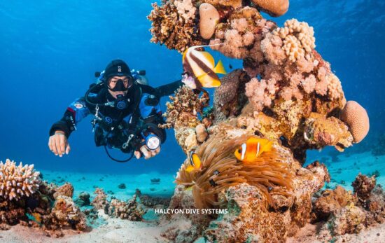 a tec basics diver explores a coral reef