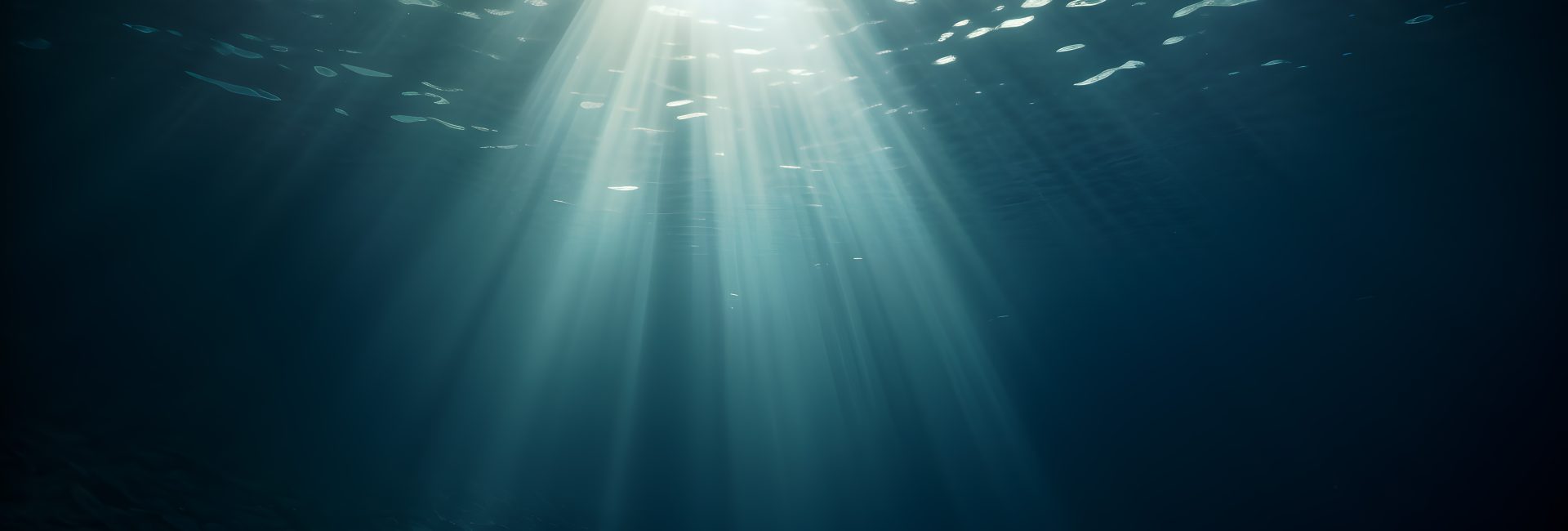 Public Art Meets Science as PADI, Neuro and Blue Robotics Unite To Raise Awareness for Ocean Conservation Efforts