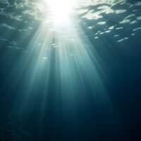 rays of light as seen from underwater in the ocean or sea