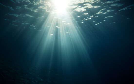 rays of light as seen from underwater in the ocean or sea
