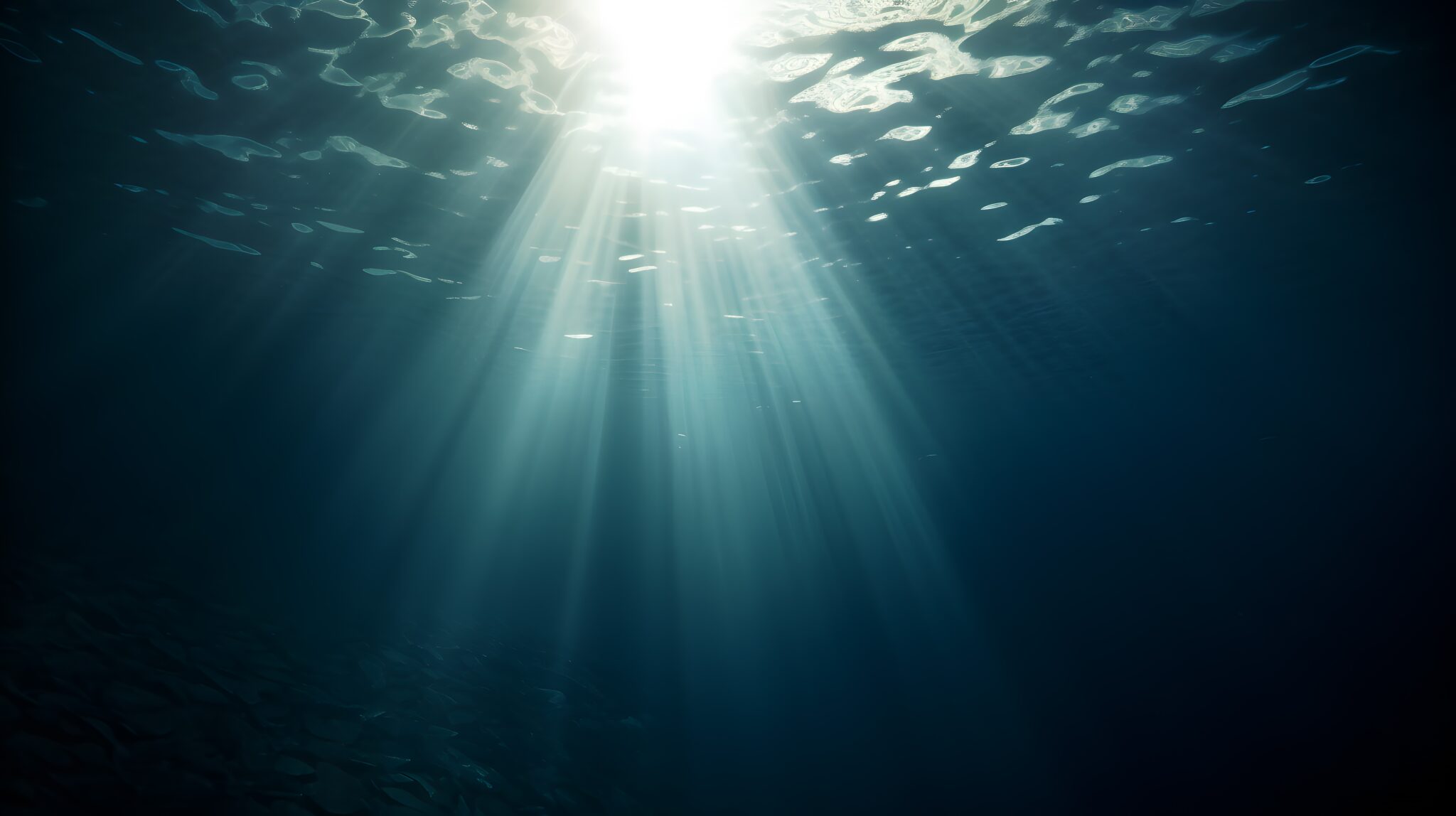rays of light as seen from underwater in the ocean or sea