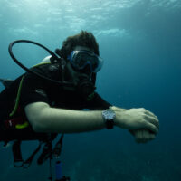 a diver explores Belize underwater