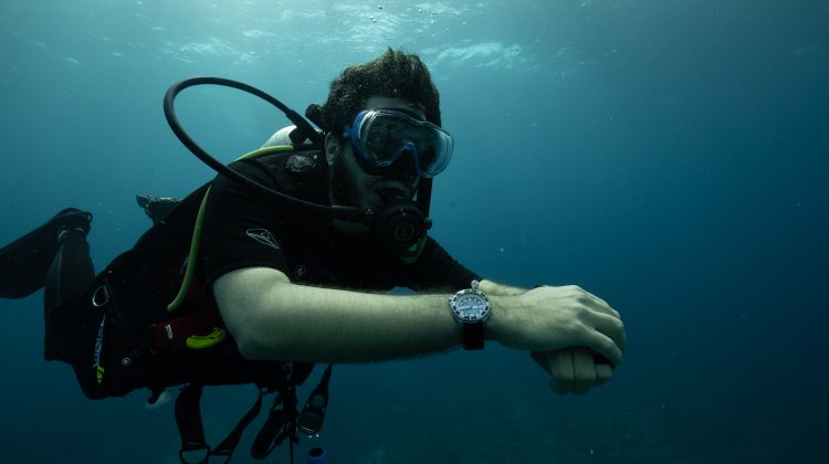 a diver explores Belize underwater
