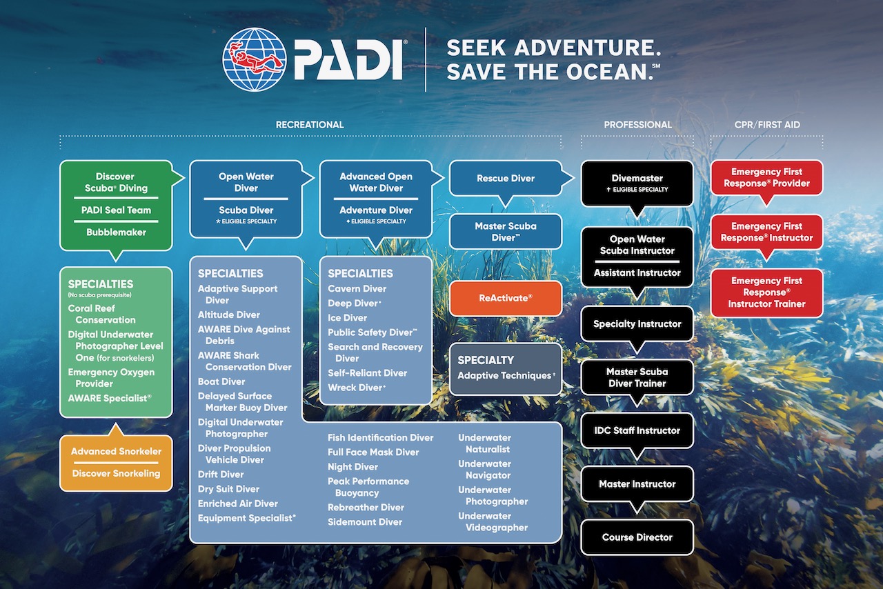 PADI course flow chart