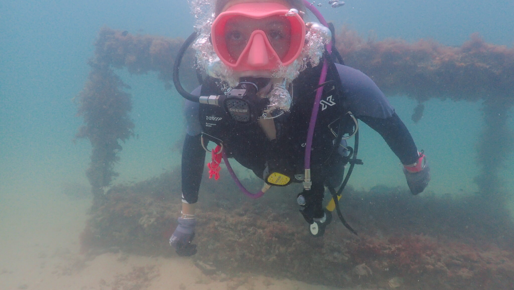 Un sommozzatore si libra sopra una barriera corallina mentre pianta