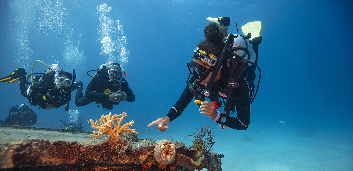 PADI Pro showing a coral to divers underwater