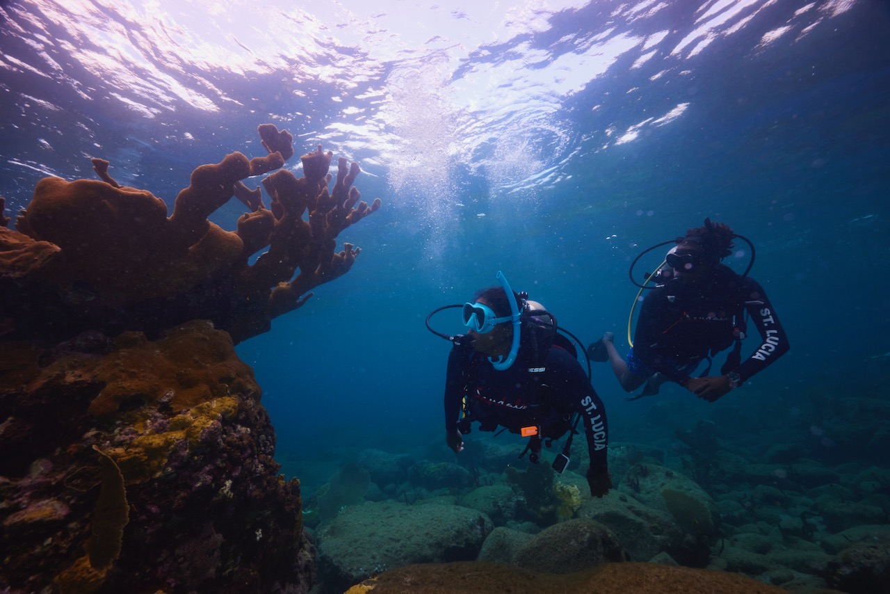 two divers explore a coral reef in St Lucia