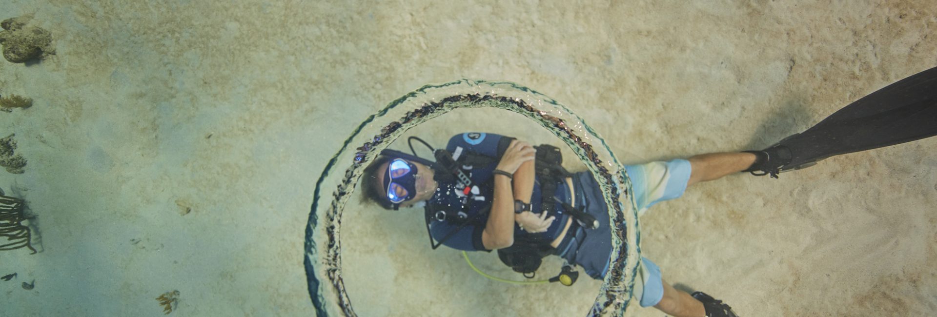 How to Become a PADI Course Director in Your 20s