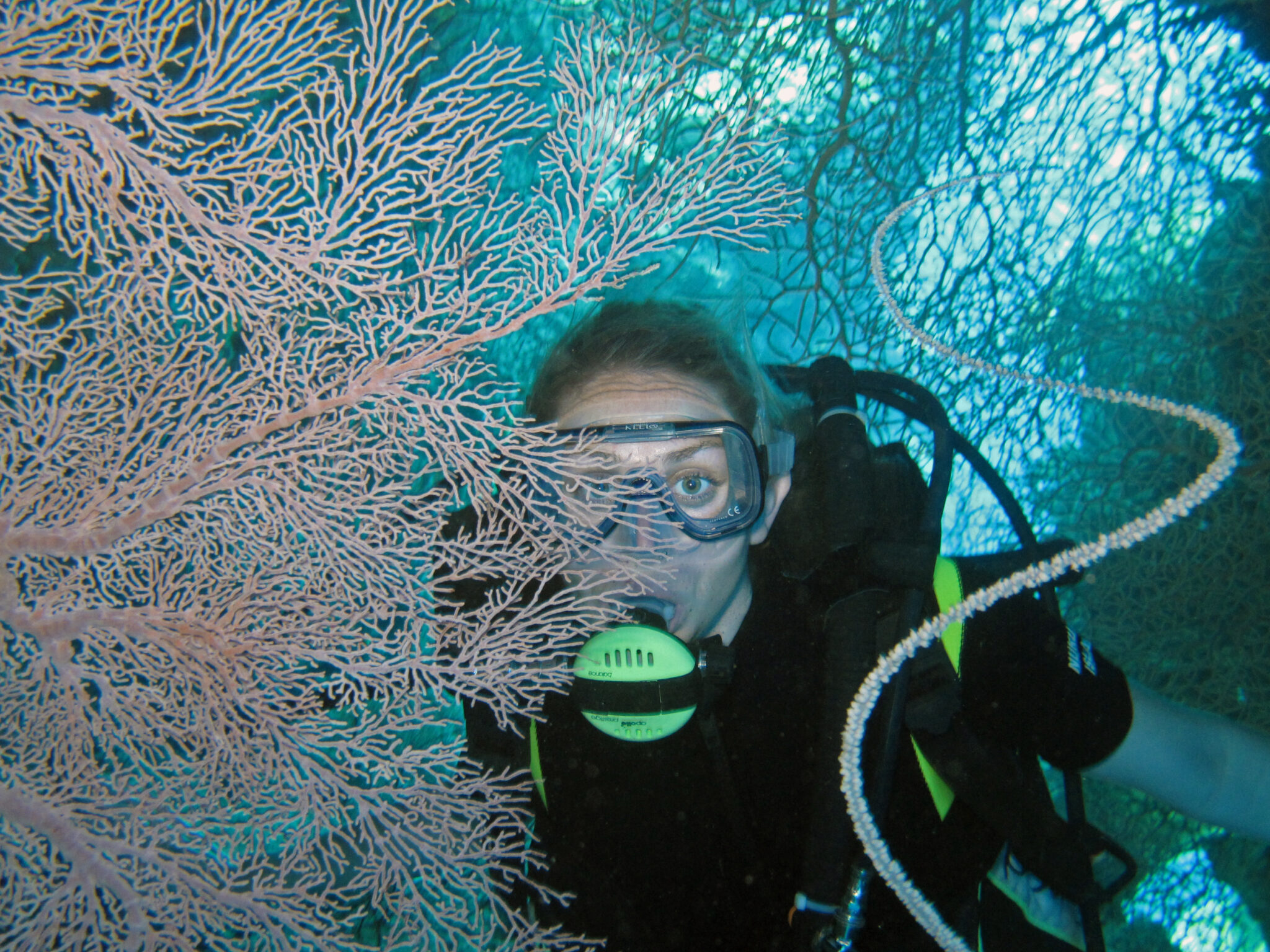 A diver poses behind a sea fan underwater