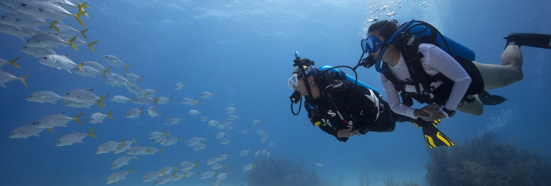PADI’s Core Courses
