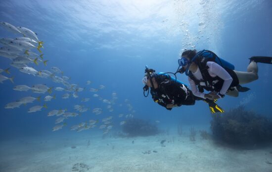 Two divers in the Bahamas looking at a school of fish