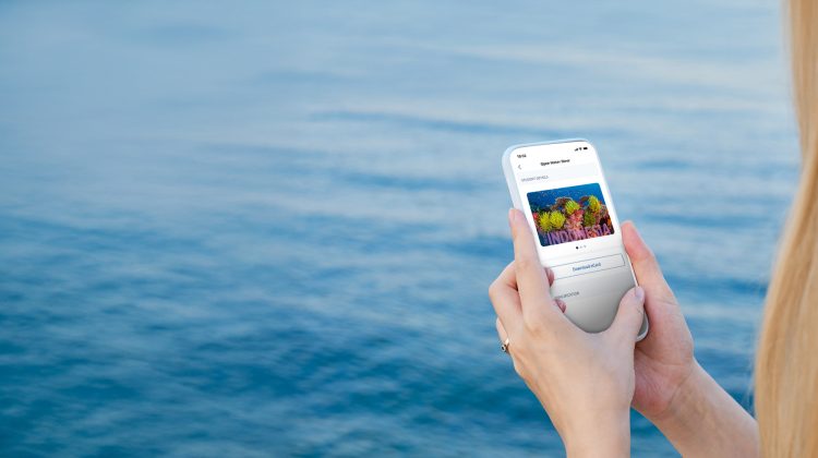 person looking at a cert card on a smartphone